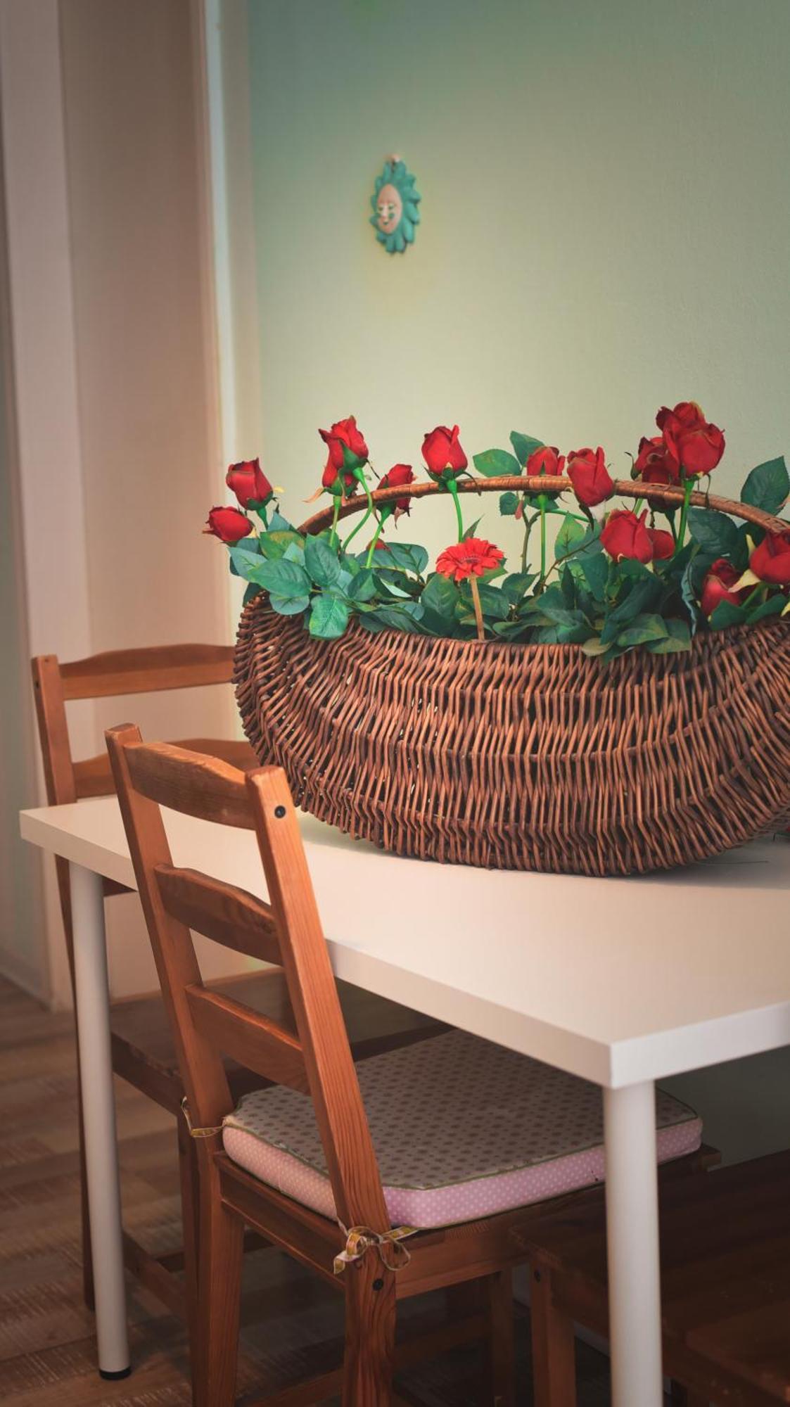Barcolana Lodge - Hostel ตรีเอสเต ภายนอก รูปภาพ